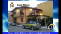 FOGGIA | Operazione Pecunia, sgominata organizzazione criminale