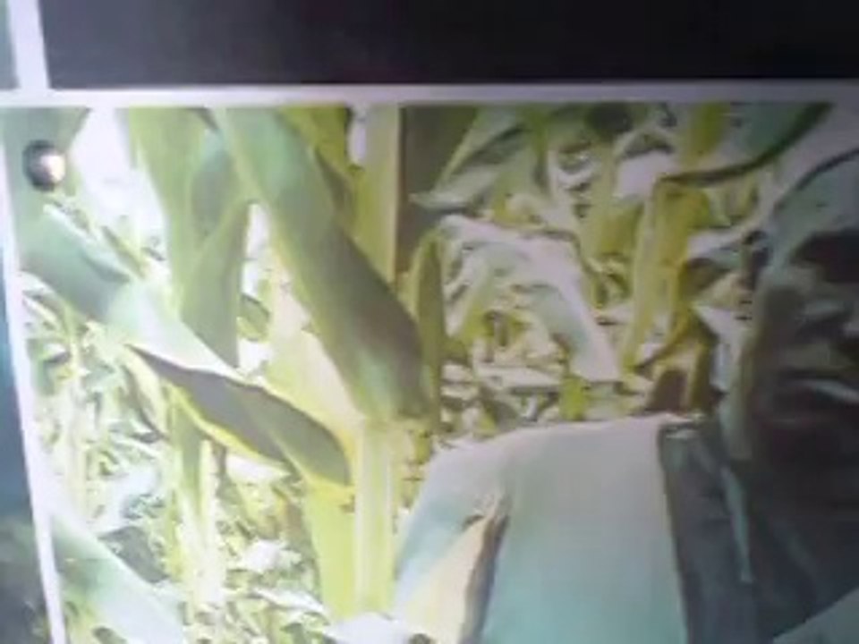 PROJET ADDR BOUNDIALI // PRESENTATION DES ACTIVITES REALISEES