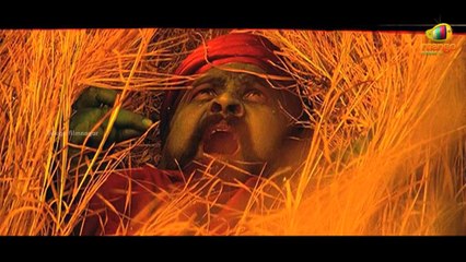 Chitapata Chinukulu song