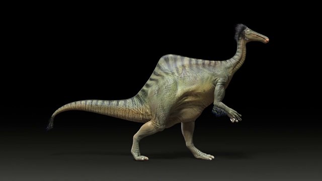 ARCHÉOLOGIE. Deinocheirus, le dinosaure aux bras longs