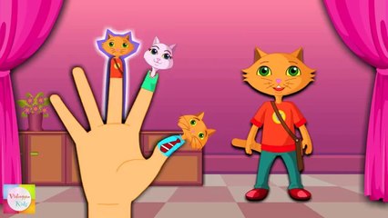 The Finger Family Cat Family Nursery Rhyme - Kids Animation Rhymes Songs