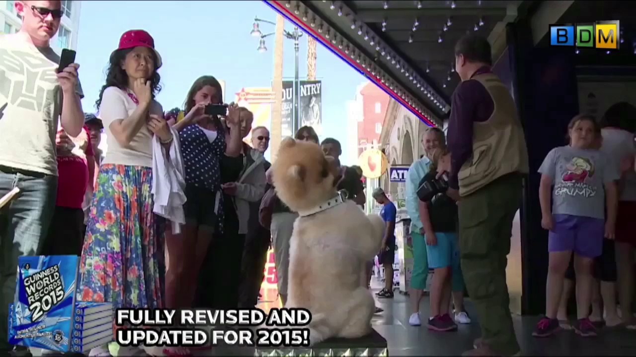 La Matinale  - Ysa Ferrer