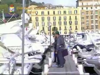 Download Video: Napoli - Frode fiscale, sequestrati beni per 900mila euro a Fabio Cannavaro (22.10.14)