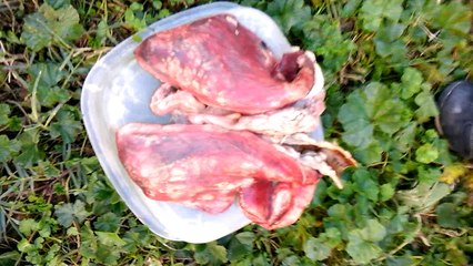 Akciğerlerimiz (Sigaranın Zararlarını Gösteren Bir Video - Bursa BİLSEM) Utku KARAYAKALI