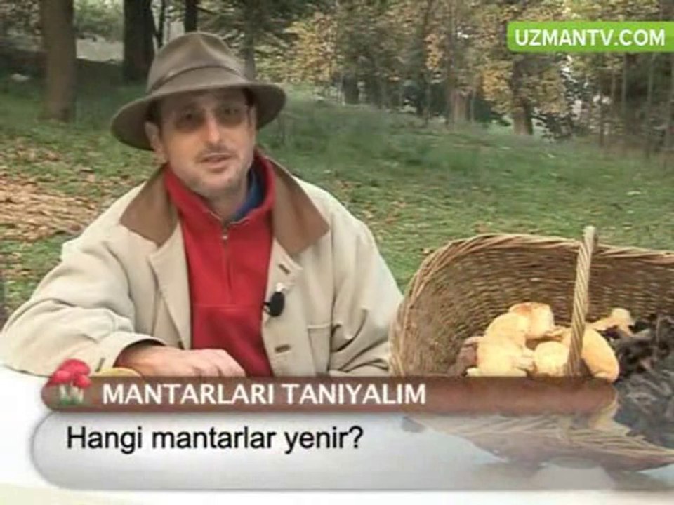 MANTARLAR HAKKINDA BİLMENİZ GEREKENLER