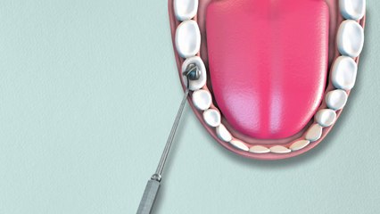 Amalgame - Dis-moi dix mots 2014-2015