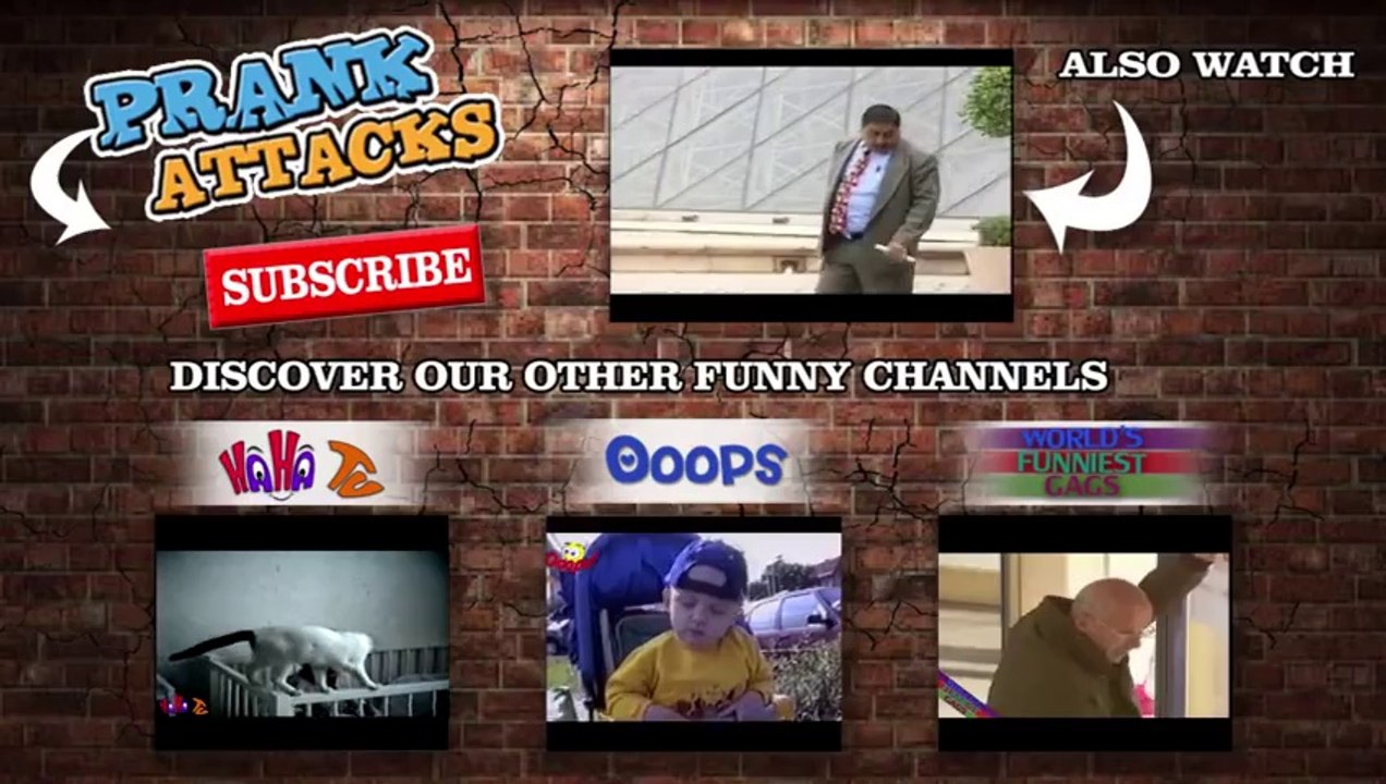 Baby Koala Bear Scare Prank _ Prank Attacks