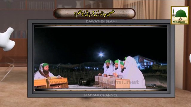 Electronic Muballigh - Madani Channel - Khassi Janwar Ki Qubani Ka Hukm (1)