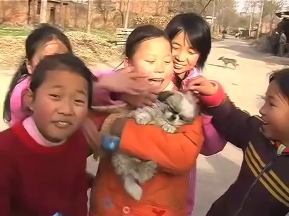 Chinese Village
