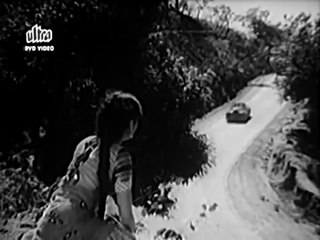 videoplayback