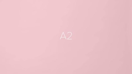 Bang & Olufsen : BeoPlay A2