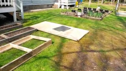 Building a chicken coop