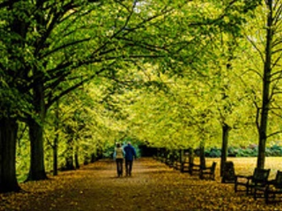 シャンソン【愚かな日々に】 JE PORTE PLAINTE COTRE NON COEUR (エンリコ・マシアス & ENRICO MACIAS) / 訳詞初稿　Sima