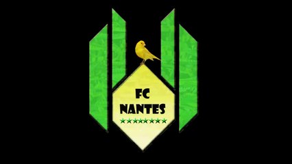 Gagnant de la place en Tribune Loire pour le match Nantes Rennes