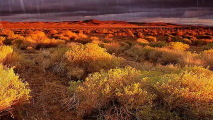 55 - Imágenes de relajación y música de paz total