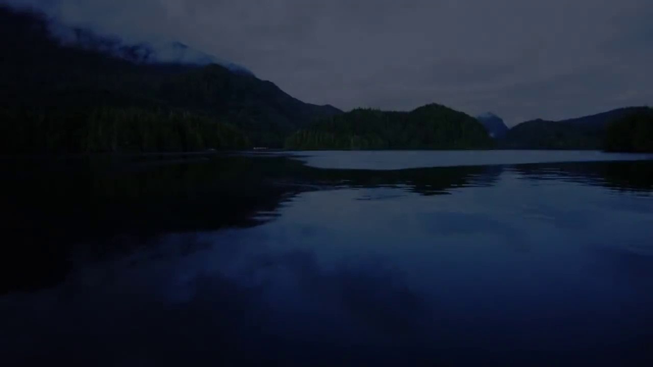 Découvrez la Great Bear Rainforest et  Explorez la colombie britanique au Canada