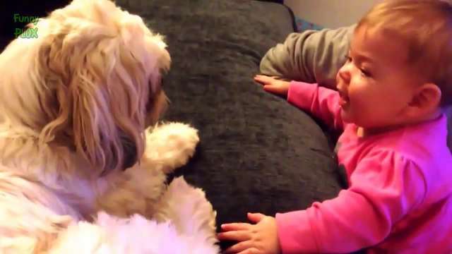 Funny Babies Talking to Dogs Compilation 2014