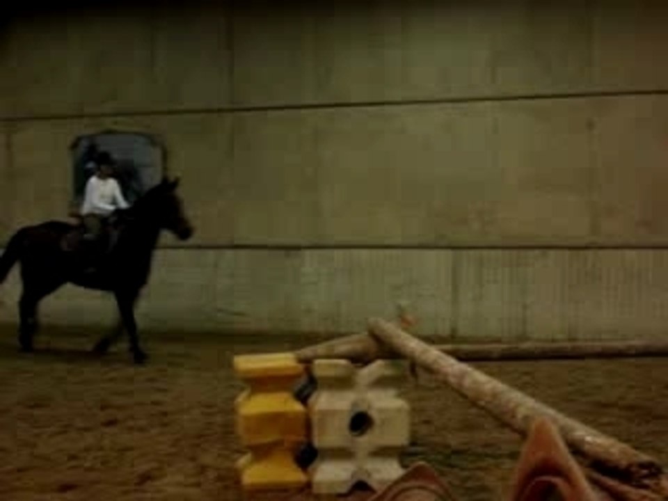 MOV01518
