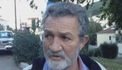 Ο αέρας έριξε δέντρο πάνω σε καλώδια της ΔΕΗ στη Λιβαδειά