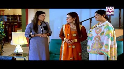 Kuch Rishtay Aisay Hotay Hain Episode 35 on Hum Sitaray in High Quality 23rd October 2014 Full Drama