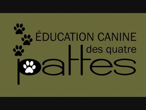 Dressage canin: Faire de la course ou du jogging avec son chien.
