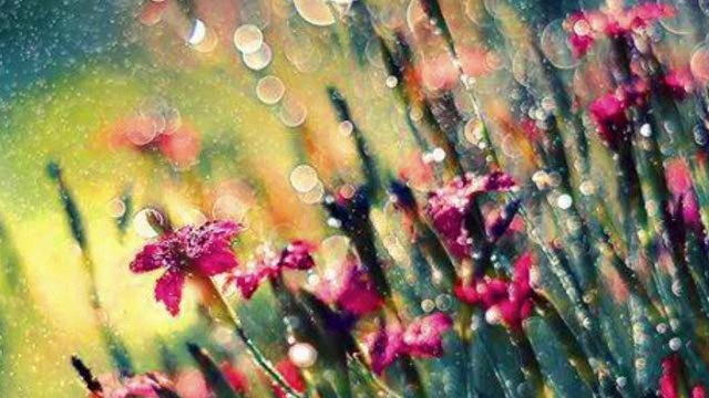 Yavuz BİNGÖL - Hakan YEŞİLYURT - Bir zamanlar