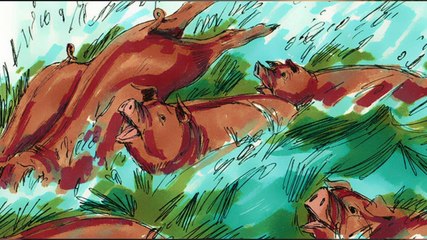 magnificent Christ - Jesus brings deliverance