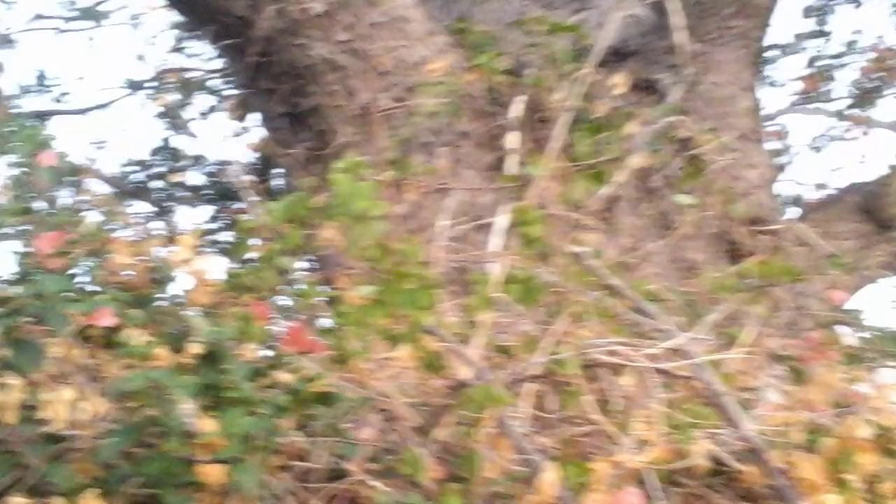 Crépuscule Port Ouest Réunion 23 Octobre 2014.