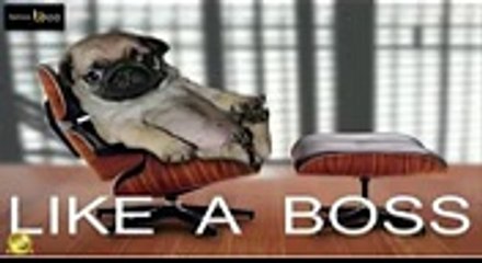 Anyoption Minimum Deposit