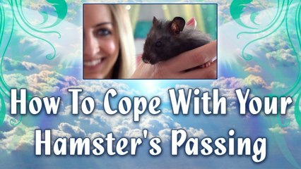 How To Cope With Your Hamster's Passing
