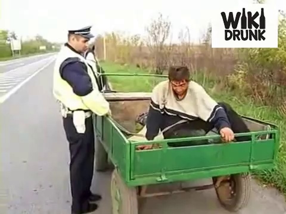Drunk farmer asleep in horse-drawn wagon
