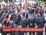 Validebağ Korusunda başkan ot yok dedi ama ağaçlar söküldü