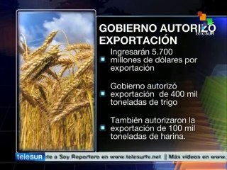 Gob. de Argentina autoriza exportación adicional de trigo ymaíz