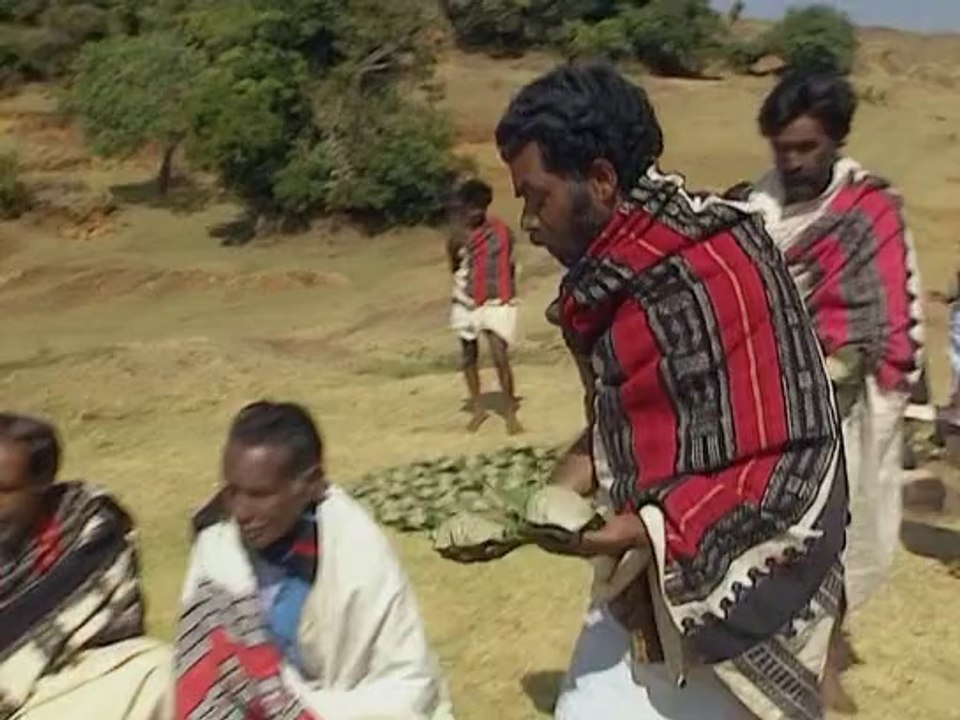 El Mono Desnudo. 2- El mono cazador