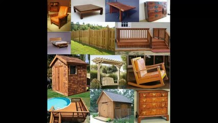 ~ Cardinal Birdhouse Plans ~ Nothing Left to the Imagination ~ No Missing Steps ~ Awesome!