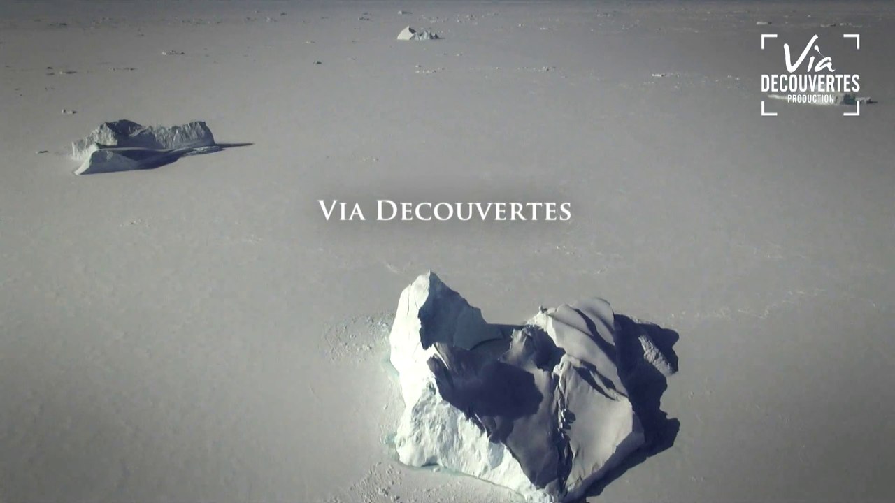 Les derniers rois de l'Arctique