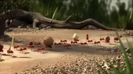 Union is Strength...Animated Video