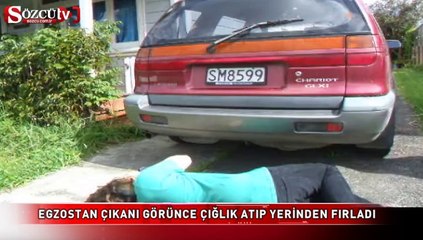 Egzostan çıkanı görünce
