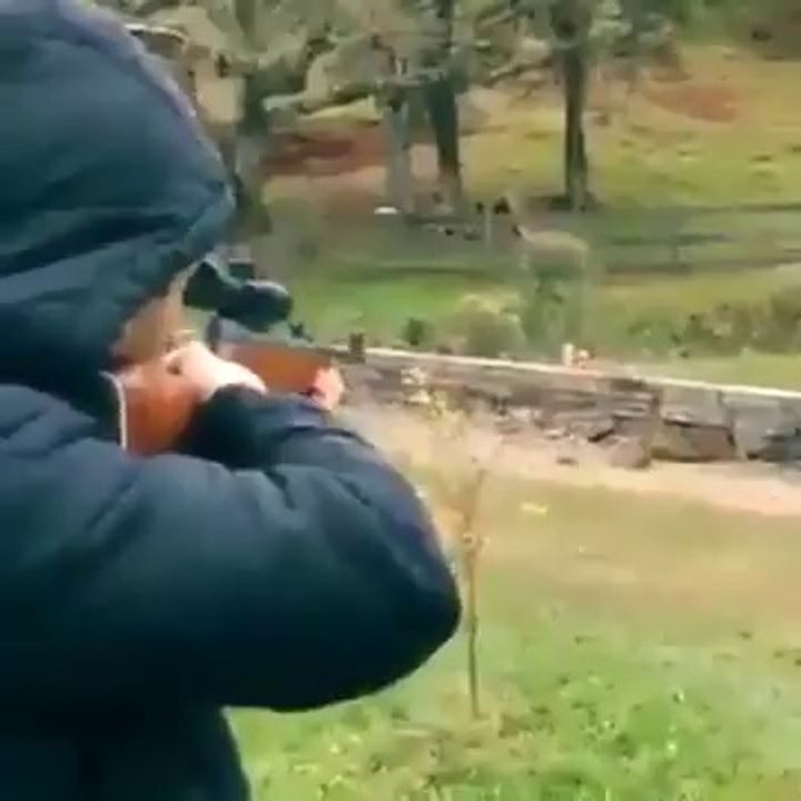Very Nice Shooter