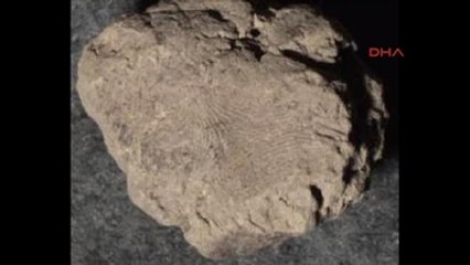 Çatalhöyük Atalarının 10 Bin 500 Yıllık Parmak İzi Bulundu