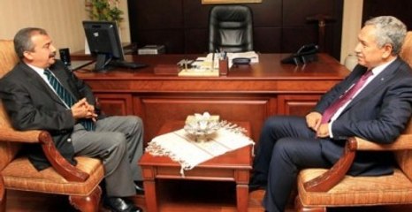 Sırrı Süreyya Önder'den Arınç'a: Sen Değil Biz Karar Veririz