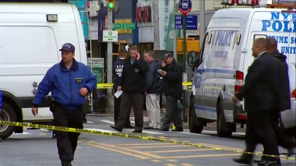 Man shot dead after attacking police with hatchet in US