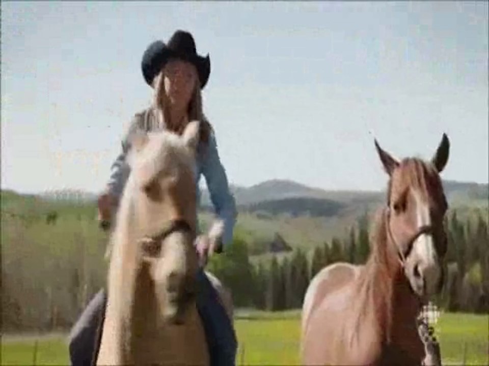 Blog Heartland43