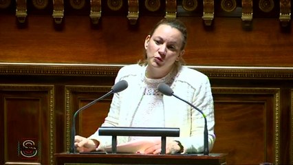 [En séance] Gouvernance mondiale de l'Internet