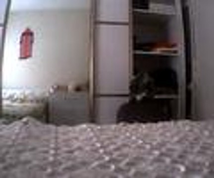 Hırsızı, kurduğu gizli kameralarla yakaladı