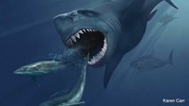 Mega-Shark Extinction Linked To Whales’ Current Size