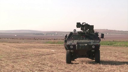 Curdos sírios aceitam reforço para Kobane