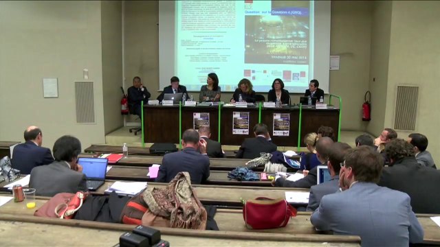 Unité et divergences de jurisprudences constitutionnelles et supranationales : respect du droit, irrégularités et dialogues (table ronde), Patrick Gaïa, Professeur à Aix-Marseille-Université