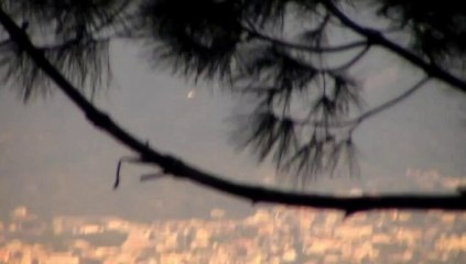 UFO su Napoli il 23.10.2014? No! E' solo un gabbiano