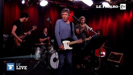 Jean-Louis Murat - «Les Ronces»